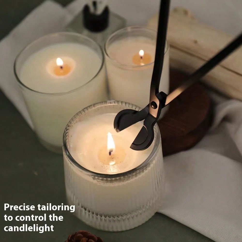Stainless Steel Candle Wick Tr - Candle Making Temperature 评论和价格